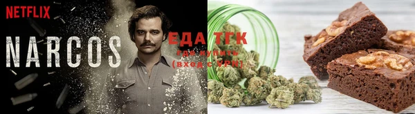 тгк Горняк