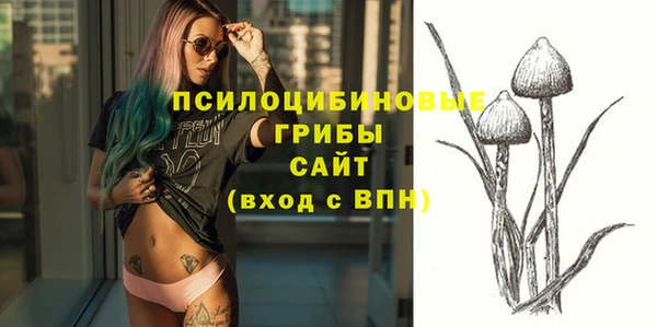 молекула духа Вяземский
