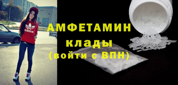 молекула духа Вяземский