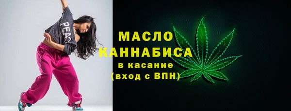 молекула духа Вяземский