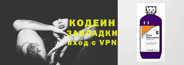 молекула духа Вяземский