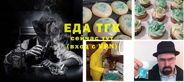 молекула духа Вяземский