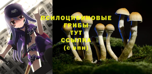 индика Ханты-Мансийск