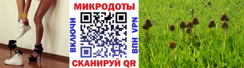 Псилоцибиновые грибы мухоморы  Обоянь 