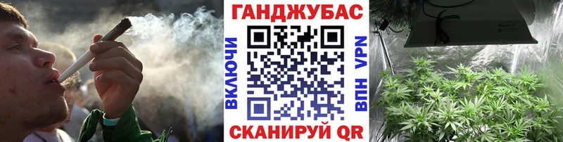 Бошки Шишки семена  где можно купить наркотик  Обоянь 